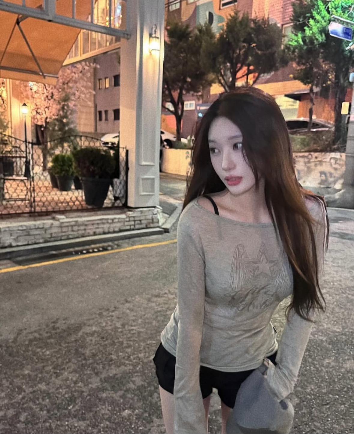 JISOO同款STAR WING SHEER LONG SLEEVE